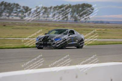 media/Mar-30-2025-Speed Ventures (Sun) [[39e6b1441d]]/Purple/Front Straight/